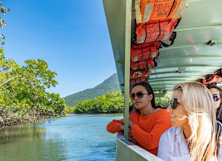 Picture 3 for Activity Port Douglas: Daintree National Park Ziplining & Cruise