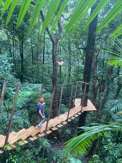 Picture 2 for Activity Port Douglas: Daintree National Park Ziplining & Cruise