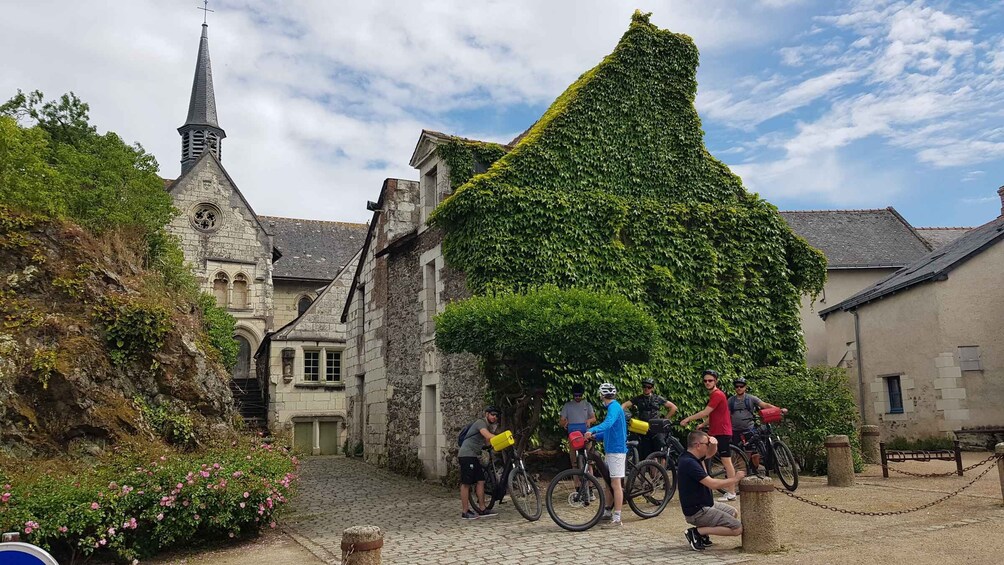 Picture 4 for Activity Chinon: Bicycle Tour of Saumur Wineries with Picnic Lunch