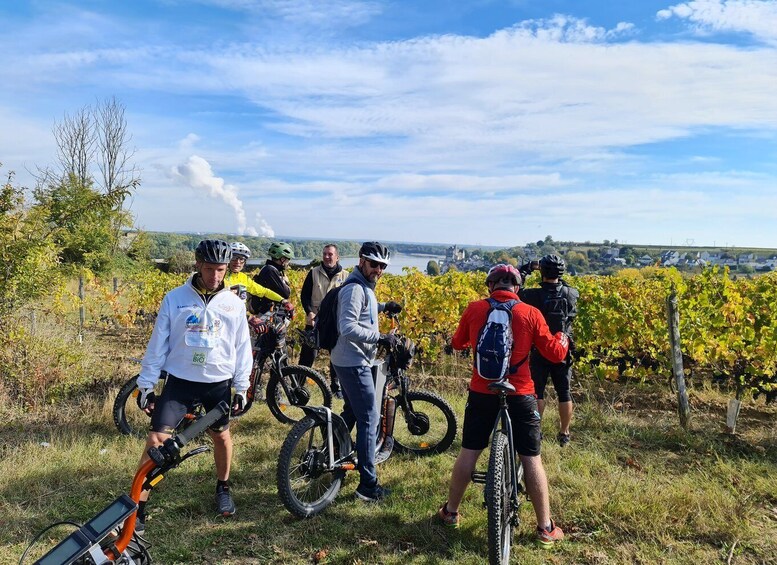 Picture 2 for Activity Chinon: Bicycle Tour of Saumur Wineries with Picnic Lunch