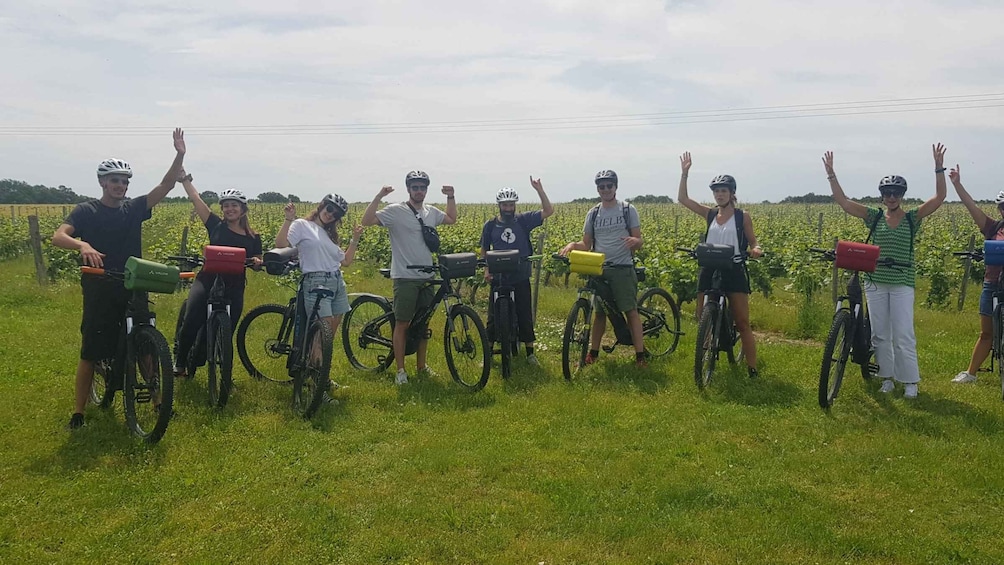 Picture 3 for Activity Chinon: Bicycle Tour of Saumur Wineries with Picnic Lunch