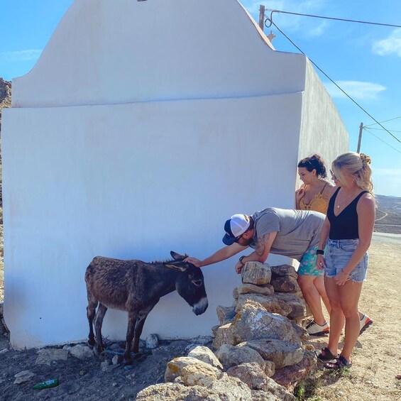 Picture 6 for Activity Private Tour: 4 hours Mykonos island tour - Like a Local