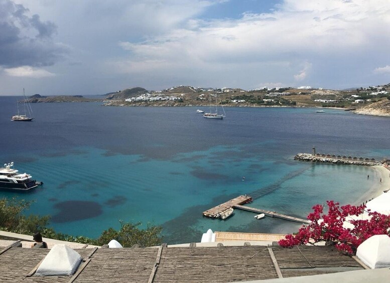 Picture 4 for Activity Private Tour: 4 hours Mykonos island tour - Like a Local