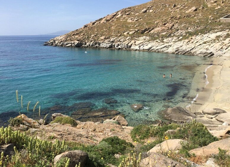 Picture 1 for Activity Private Tour: 4 hours Mykonos island tour - Like a Local