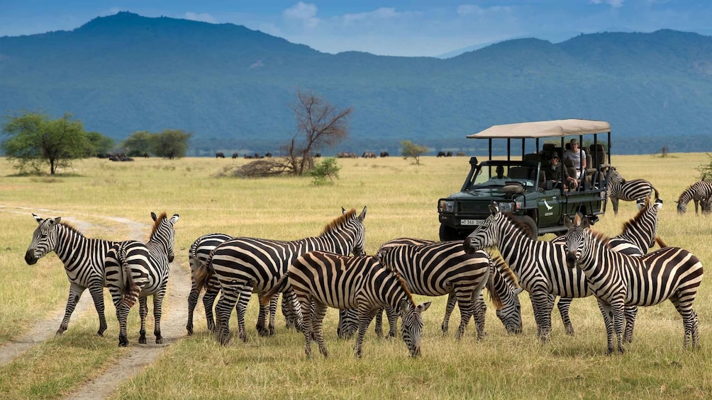 Picture 12 for Activity Elephant Trail: 3-Day Amboseli Camping Experience