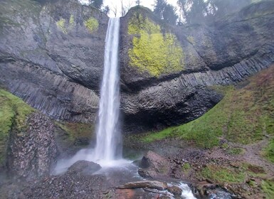 Columbia River Gorge Halbtageswanderung für kleine Gruppen