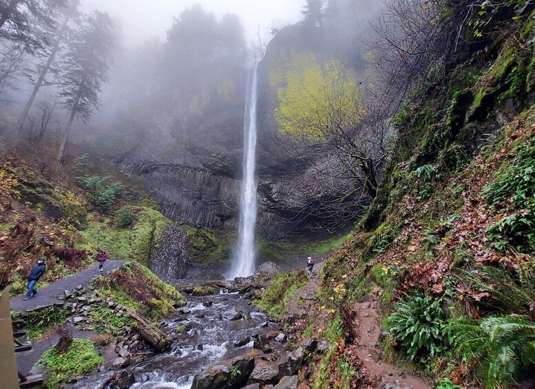 Picture 12 for Activity Columbia River Gorge Half-Day Small-Group Hiking Tour