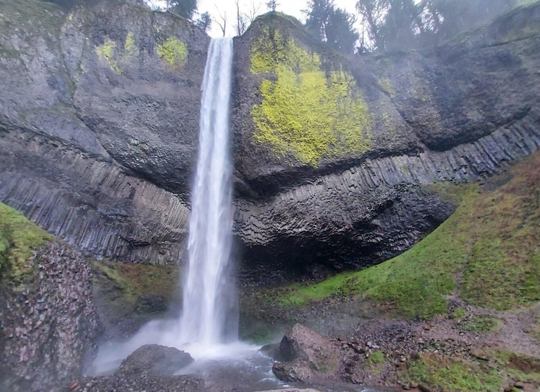 Columbia River Gorge Half-Day Small-Group Hiking Tour