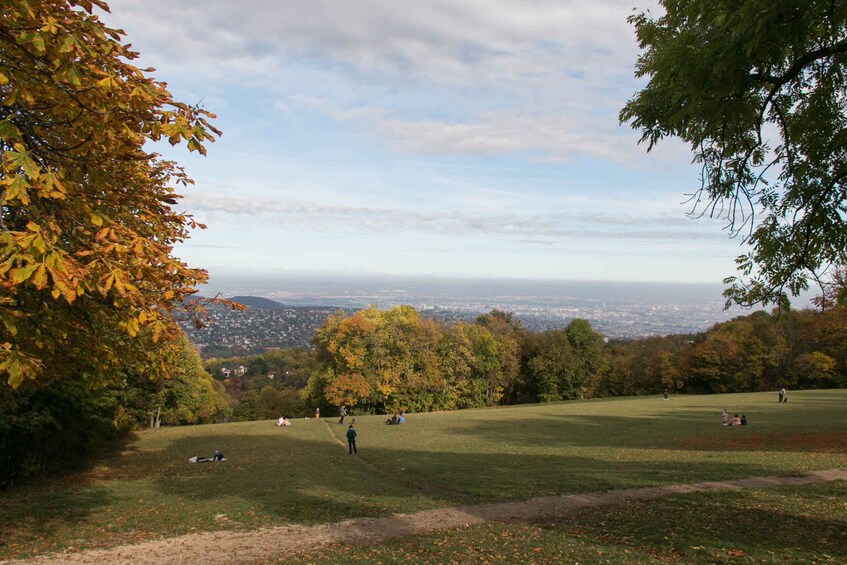 Picture 2 for Activity 3Hour Outdoor Budapest Normafa Hike&History With a Historian