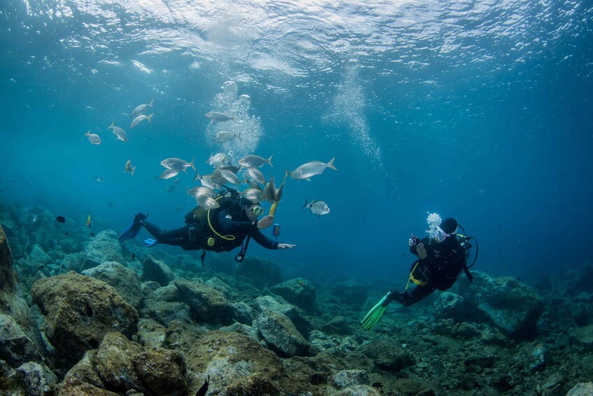 Picture 7 for Activity Lanzarote: Beginner Scuba Diving from the Beach