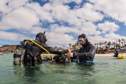 Lanzarote: Lanzarote: Aloitteleva sukeltaja rannalta