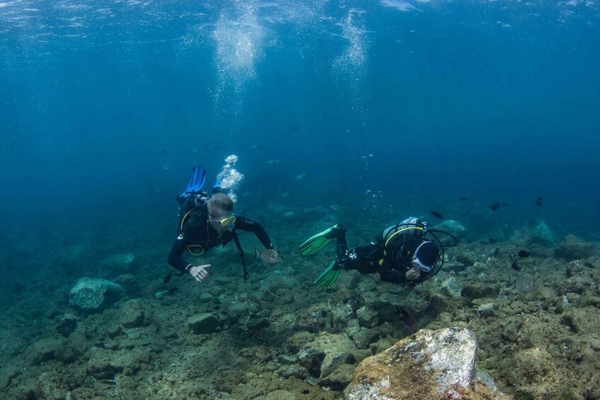 Picture 4 for Activity Lanzarote: Beginner Scuba Diving from the Beach