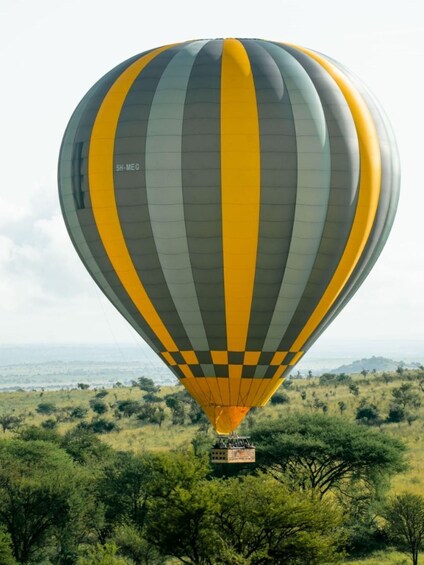 Picture 5 for Activity Serengeti: Private Hot Air Balloon Wedding