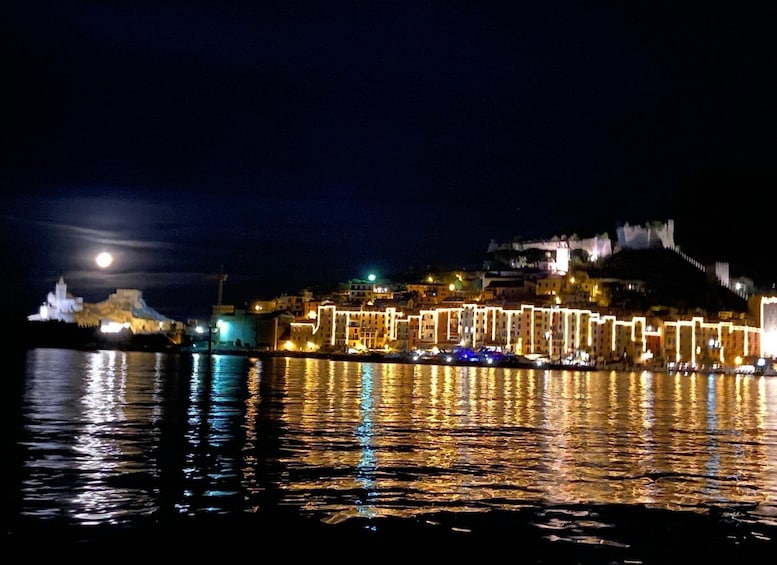 Picture 17 for Activity La Spezia: Porto Venere & 3 Islands Private Boat Tour