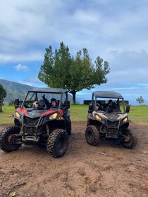 Madeira: Private Off-Road Buggy Driving Experience