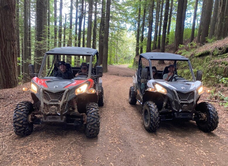 Picture 1 for Activity Madeira: Private Off-Road Buggy Driving Experience