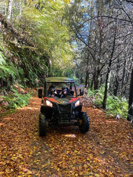 Picture 6 for Activity Madeira: Private Off-Road Buggy Driving Experience