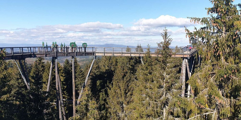 Picture 10 for Activity From Krakow: Tour to Slovakia Treetop Walk and Thermal Baths