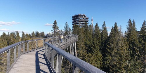 Von Krakau aus: Tour in die Slowakei: Baumwipfelpfad und Thermalbäder