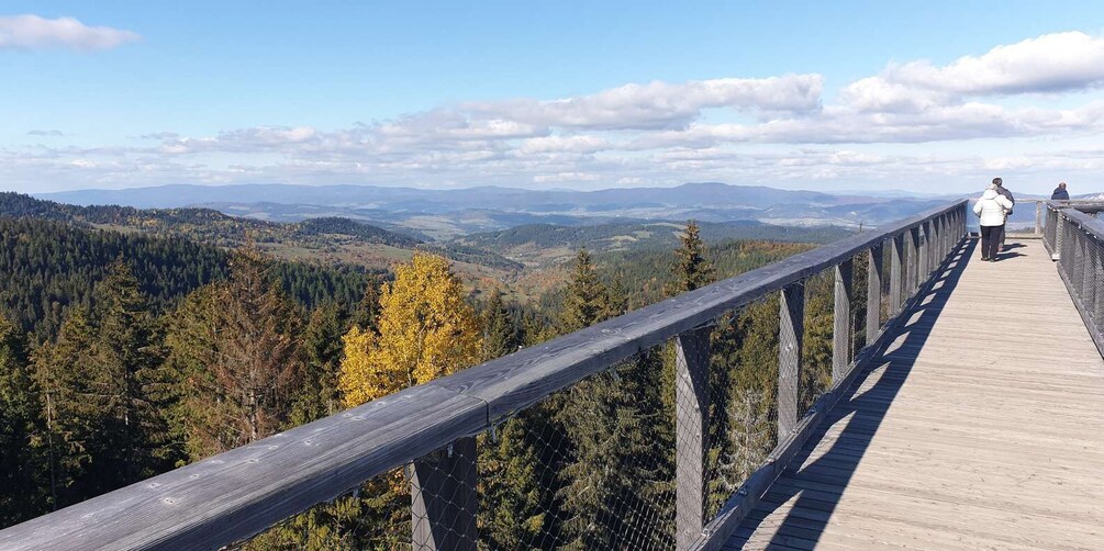 Picture 13 for Activity From Krakow: Tour to Slovakia Treetop Walk and Thermal Baths