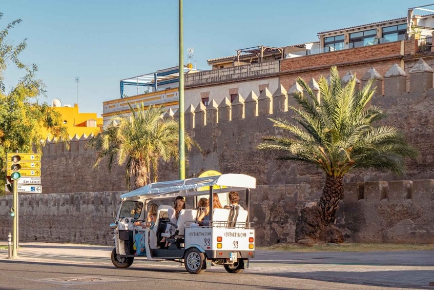Picture 3 for Activity Seville: City Tour in a Private Eco Tuk Tuk