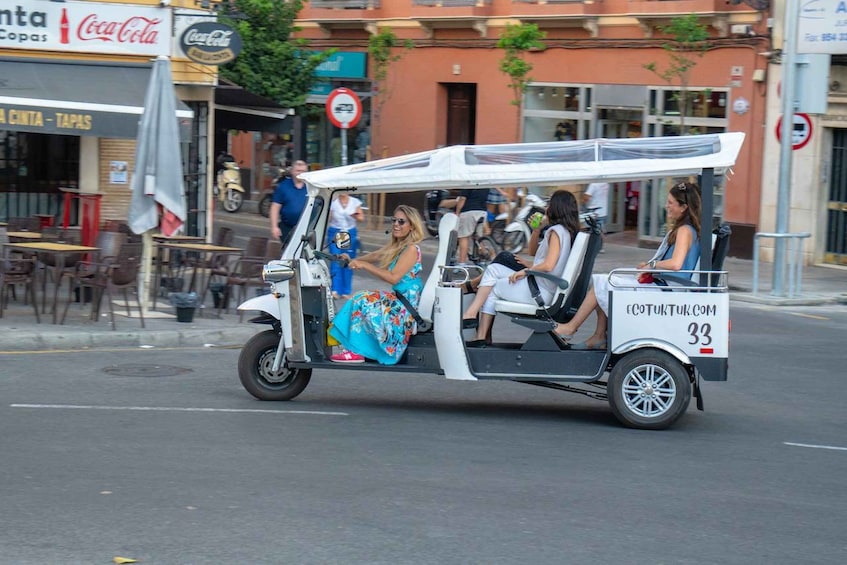 Picture 8 for Activity Seville: Private City Tour by Eco Tuk Tuk