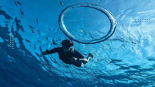 Hurghada: Hurghada: Snorklaus 6 x 1 Orange Bay w Sukellus & Hieronta.