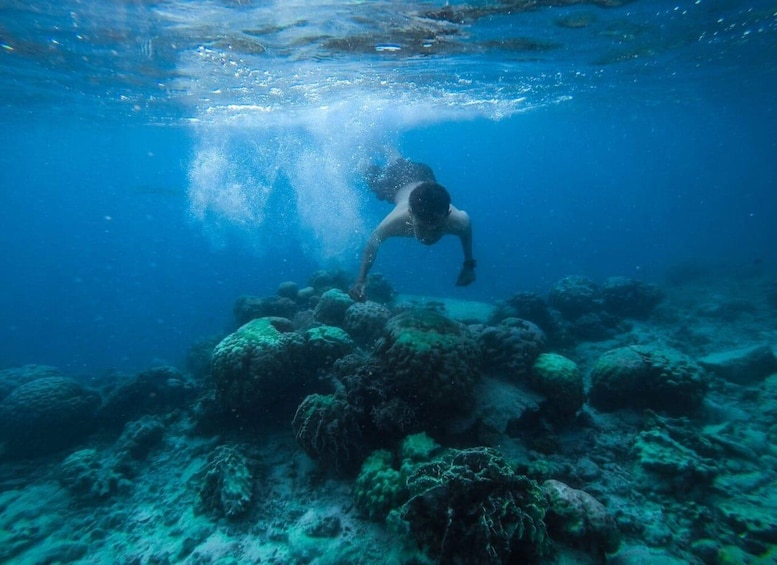 Picture 17 for Activity Hurghada: Snorkeling & Diving 6 x 1 Yacht Trip to Orange Bay
