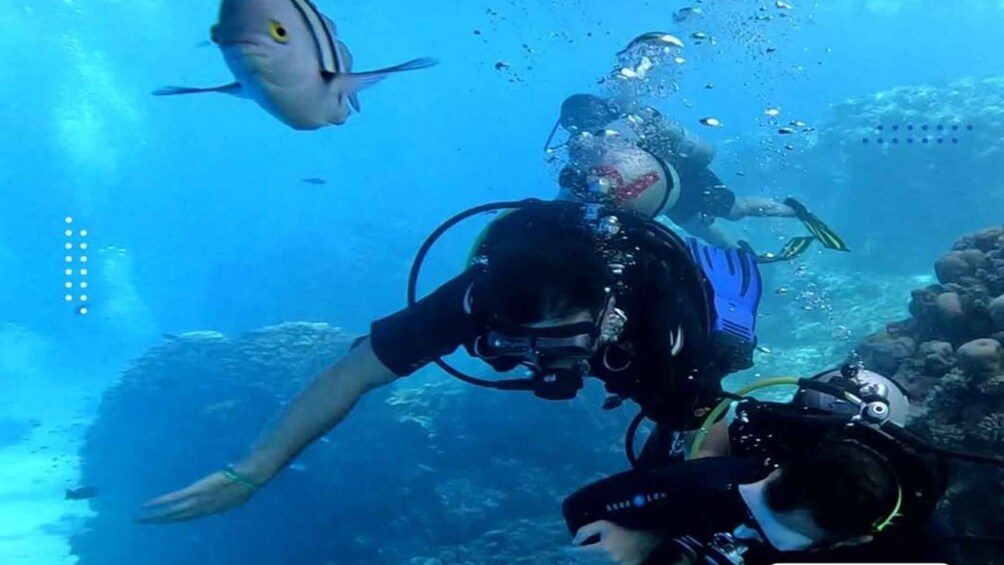 Picture 39 for Activity Hurghada: Snorkeling 6 x 1 to Orange Bay w Diving & Massage