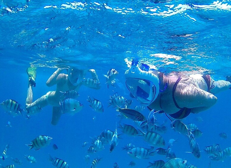 Picture 34 for Activity Hurghada: Snorkeling & Diving 6 x 1 Yacht Trip to Orange Bay