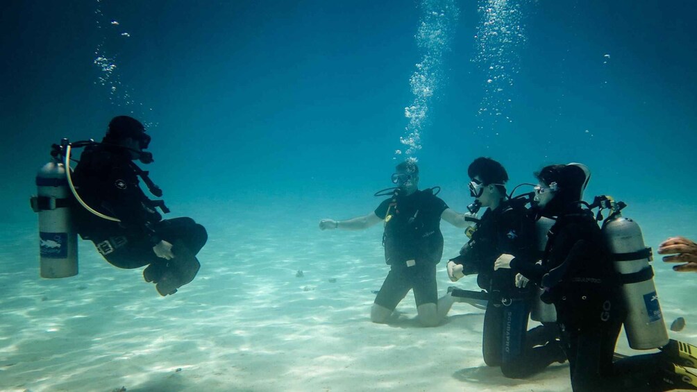 Picture 4 for Activity Hurghada: 3-Day PADI Open Water Diving Course with Pickup