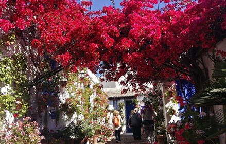 Cordoba Courtyards by Bike, จักรยานไฟฟ้า