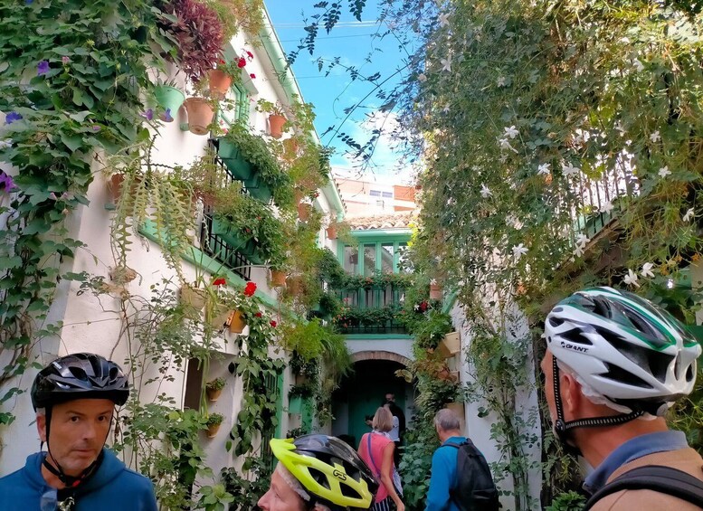 Picture 3 for Activity Cordoba Courtyards by Bike, Electric Bike