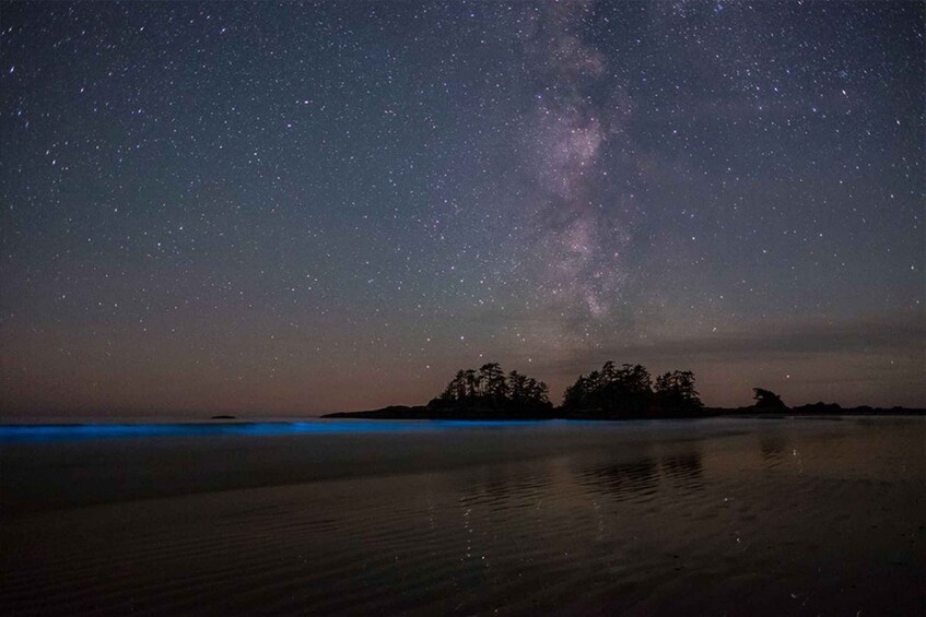 Picture 2 for Activity Holbox: Guided Bioluminescence Kayaking Tour