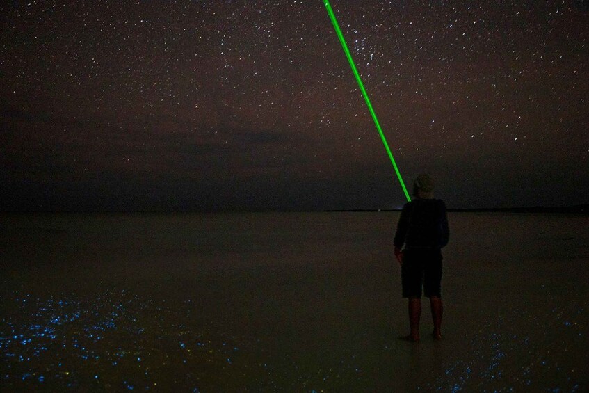 Picture 1 for Activity Holbox: Guided Bioluminescence Kayaking Tour