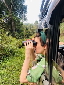 Randonnée de 3 jours dans la forêt de Bwindi pour observer les gorilles