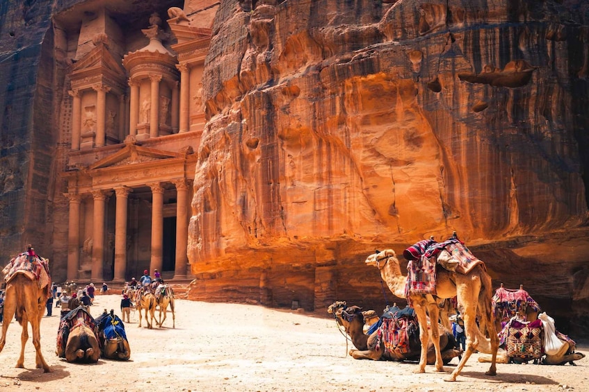 From Petra: Petra Day Tour