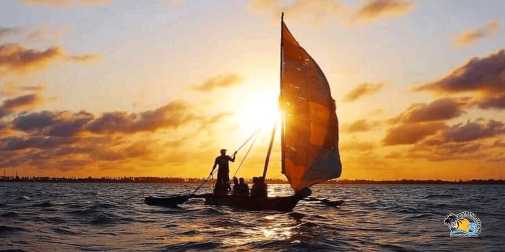 Picture 19 for Activity Zanzibar: Mnemba Dolphins Tour and Sunset Dhow Cruise