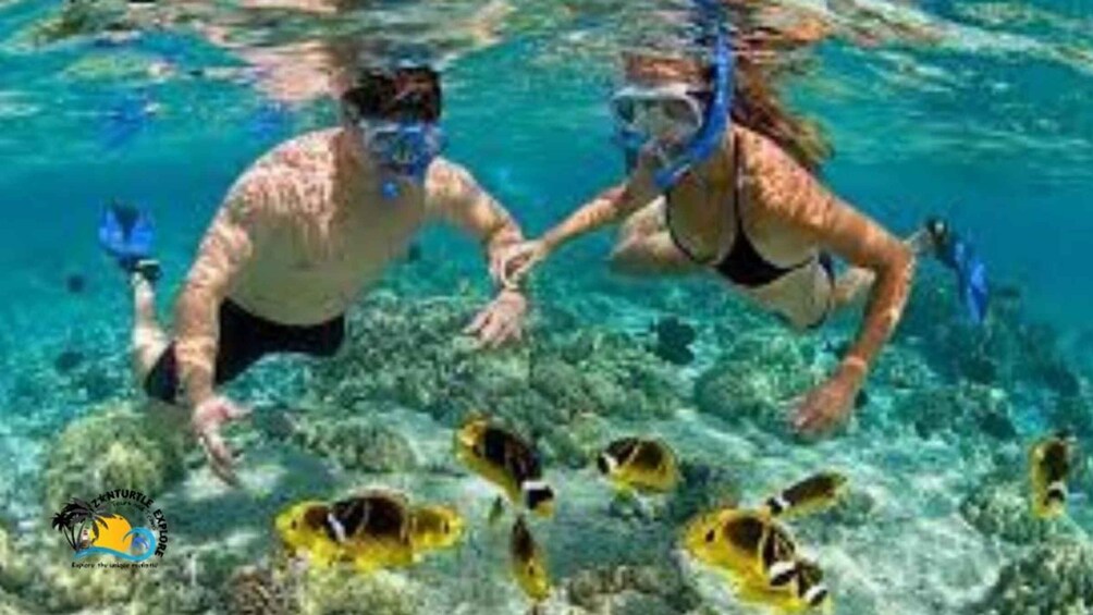 Picture 13 for Activity Zanzibar: Snorkeling at Mnemba Atoll & Sunset Dhow Cruise