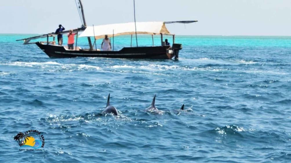 Picture 1 for Activity Zanzibar: Snorkeling at Mnemba Atoll & Sunset Dhow Cruise