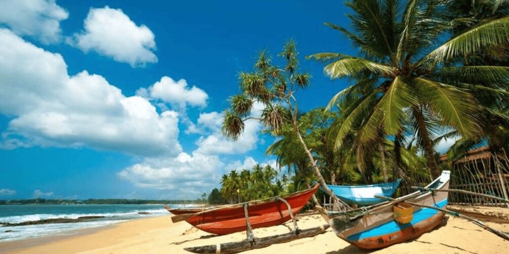 Picture 3 for Activity 9-Day Romantic Getaway: Honeymoon Tour in Sri Lanka