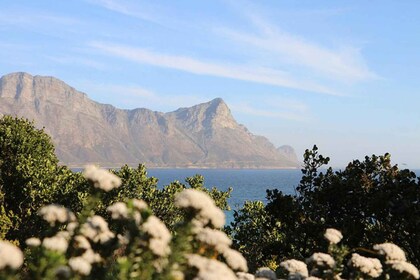 From Cape Town: 4 Day Luxury Garden Route Selection Tour