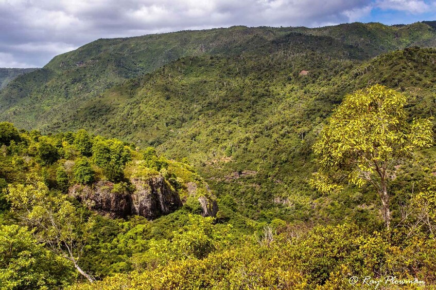 Picture 10 for Activity Mauritius: Guided Trip to the Southwest with Safari Tour