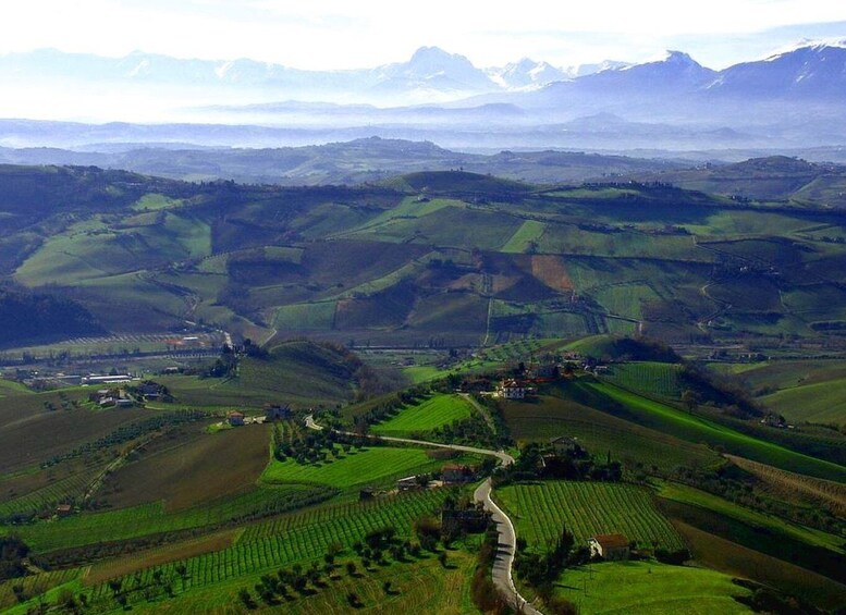 Picture 4 for Activity Ripatransone: The Piceno Lookout Tour