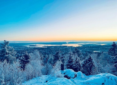 Oslo: Snøvandring til Vettakollen med vinterutsikt over Oslofjorden