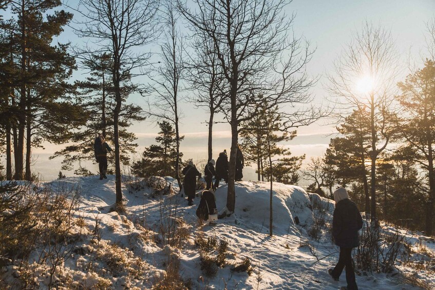 Picture 6 for Activity Oslo: Snow Hike to Vettakollen with Oslofjord Winter View