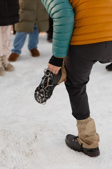 Picture 1 for Activity Oslo: Snow Hike to Vettakollen with Oslofjord Winter View