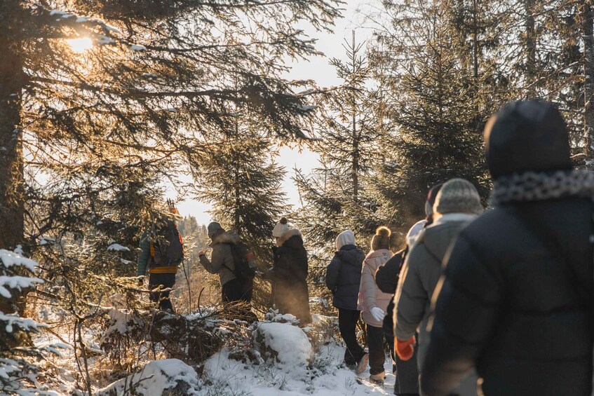 Picture 8 for Activity Oslo: Snow Hike to Vettakollen with Oslofjord Winter View