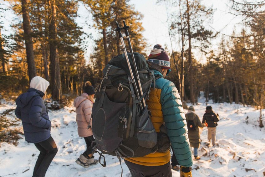 Picture 7 for Activity Oslo: Snow Hike to Vettakollen with Oslofjord Winter View