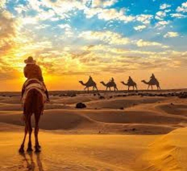 Camel Safari in Osian Desert